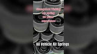 produsen pegas udara untuk semua jenis pegas udara